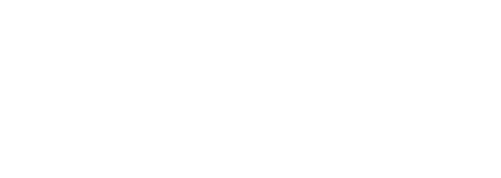 Chapter Print Pro